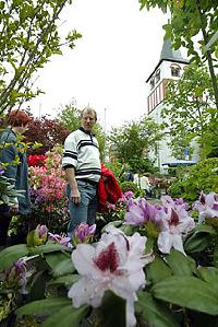 Bild 7425