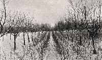 Bild 7481