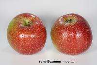 Bild 7493