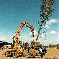 Bild 7556