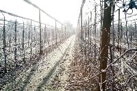 Bild 7561