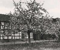 Bild 7572