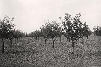 Bild 7587