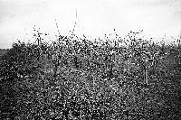 Bild 7723