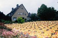 Bild 7745
