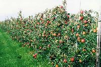Bild 7747