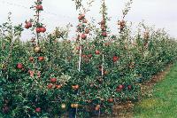 Bild 7748