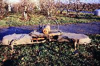 Bild 7793