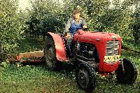 Bild 7797
