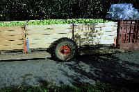 Bild 7877