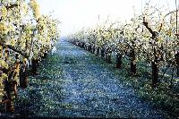 Bild 8048
