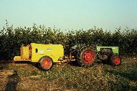Bild 8065