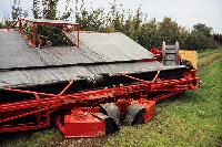 Bild 8081