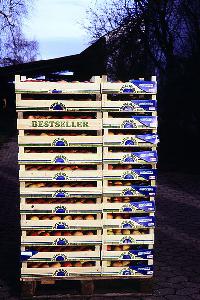 Bild 8131