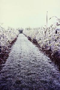 Bild 8133