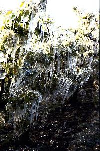 Bild 8150