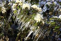 Bild 8151