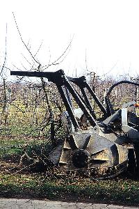 Bild 8162