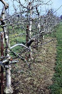 Bild 8167