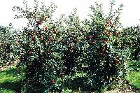 Bild 8172