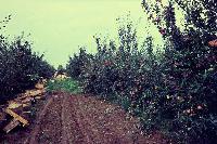 Bild 8185