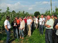 Bild 8244