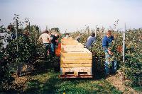 Bild 8321