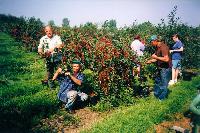 Bild 8326