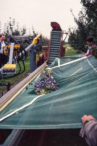 Bild 8352