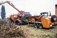 Bild 8372