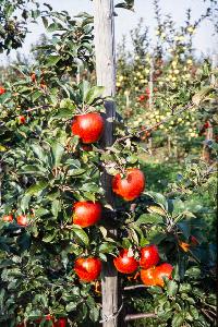 Bild 8396