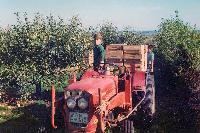 Bild 8423