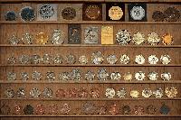 Bild 8452