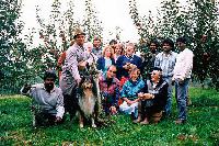 Bild 8463