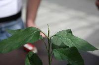 Bild 8473