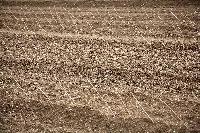 Bild 8477