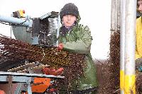 Bild 8491