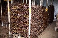 Bild 8492