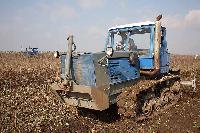 Bild 8521