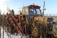 Bild 8527