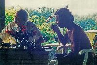 Bild 8547