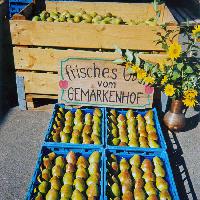 Bild 8555