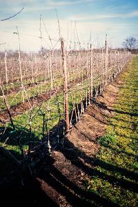 Bild 8606