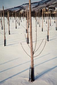 Bild 8611
