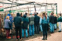 Bild 8616