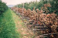 Bild 8626