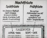 Bild 8648