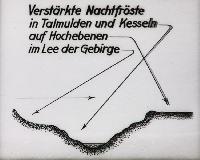 Bild 8649