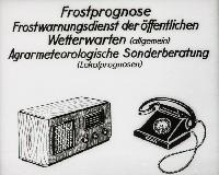 Bild 8651