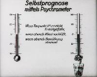 Bild 8652